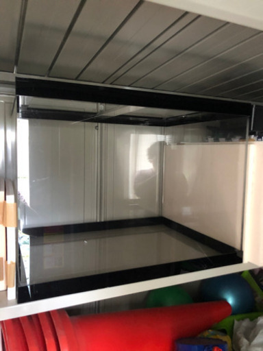 60ワイドアクリル水槽(熱帯魚、海水魚、金魚水槽)