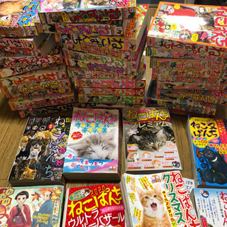 【現在相談中です。新しい方ごめんなさい】ねこぱんち【マンガ】