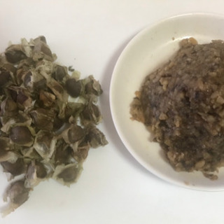 モリンガ種&黒豆の味噌作り（1kg）