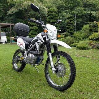 カワサキ　KLX125  極上品★最終価格★の画像