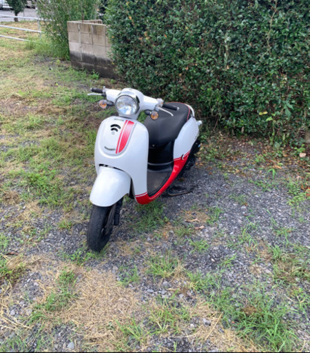 高年式　AF70ジョルノ  原付　バイク　50cc   車体