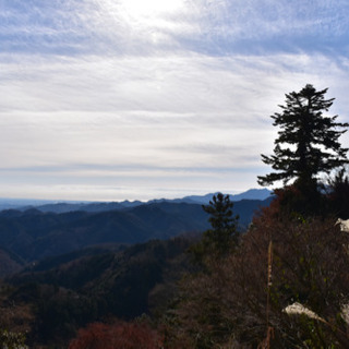 風景写真を撮りに自分と歩いて頂ける方を募集します。