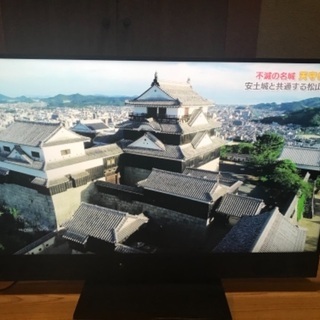 ★早い者勝ち★50インチ4K液晶テレビ LCD-A50RA2000三菱　西 三菱電機 REAL LCD-A50RA2000 [50インチ] 価格比較 - 価格.com