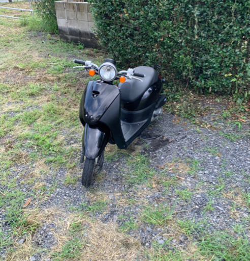 AF67トゥデイ　原付　　バイク　50cc   車体　本体
