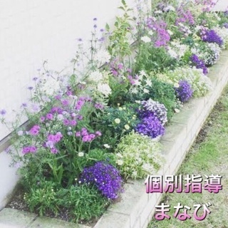 個別指導　幼児〜小学生　教えます！