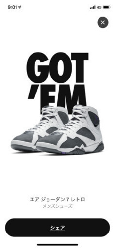 その他 27.5cm AIR JORDAN7 RETRO FRINT