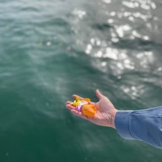 【海洋散骨】 瀬戸内海にて海洋散骨サービスを致します。広島県福山市・瀬戸内海 【全国対応】の画像