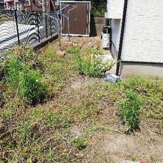 いよいよ草刈りシーズン到来😰😫