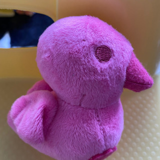 カモシくん☆