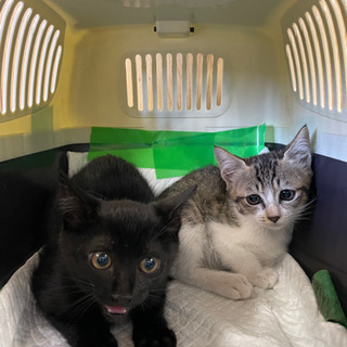 沢山のご応募ありがとうございました