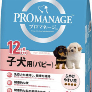 ドッグフード