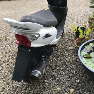 値下げしましたの画像