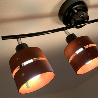 スマートシーリングライトの画像