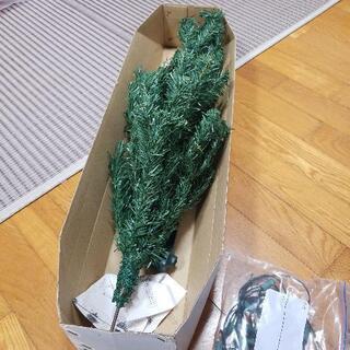 決まりました。早いですが、クリスマスツリーあげます