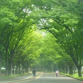 朝活一緒にしませんか - 世田谷区