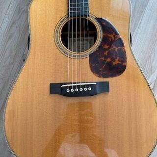 ASTURIAS D.CUSTOM with L.R.Baggs DUAL SOURCEの画像