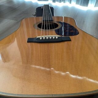 ASTURIAS D.CUSTOM with L.R.Baggs DUAL SOURCEの画像