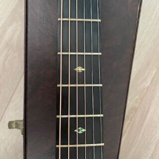 ASTURIAS D.CUSTOM with L.R.Baggs DUAL SOURCEの画像