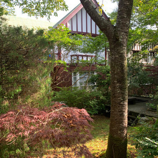 オープニング　食パン専門店での製造スタッフの画像