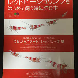 レッドビーシュリンプ 雑誌4冊