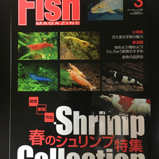 レッドビーシュリンプ 雑誌4冊の画像