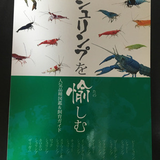 レッドビーシュリンプ 雑誌4冊の画像