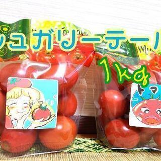 【小売OK 1袋から】ミニトマト 1kg  プチッと食感！フルー...