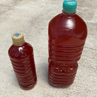 自家製光合成細菌 PSB の画像
