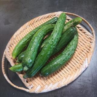 no.3 有機栽培 きゅうり 100円