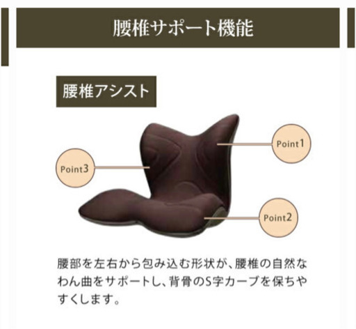 スタイルプレミアム 骨盤矯正
