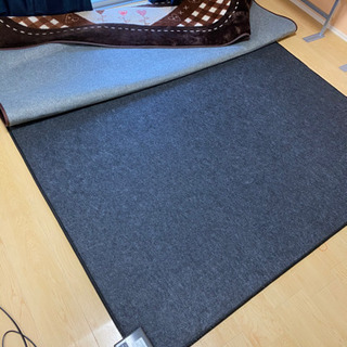 ホットカーペット　2畳用の画像