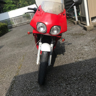 ns1の画像