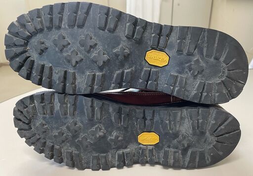 DANNER LIGHT 2 CAM GORE-TEX 33002X  US7.5 25.5cm 値下げ