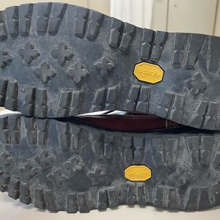 DANNER LIGHT 2 CAM GORE-TEX 33002X  US7.5 25.5cm 値下げの画像