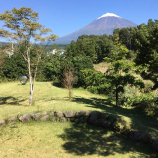 地球を感じるフラ