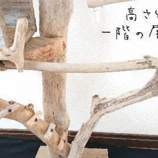 流木止まり木・バードタワーNo.⑲高さ106㎝の画像