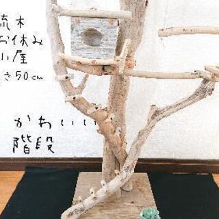 流木止まり木・バードタワーNo.⑲高さ106㎝の画像