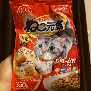 ねこ元気　