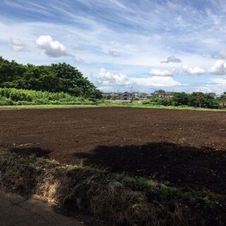 家庭菜園シェア