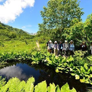 第３回「白馬五竜高山植物園・小遠見山をめぐるトレッキング」参加者募集 − 長野県