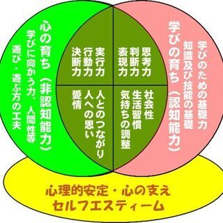 遊戯療法（プレイセラピー）を発達支援に活かしていくためのオンライン勉強会の画像