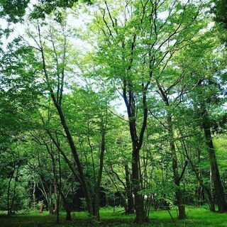 お散歩仲間