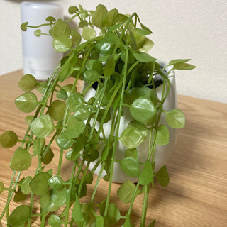 ニトリ　フェイクグリーン　セットの画像