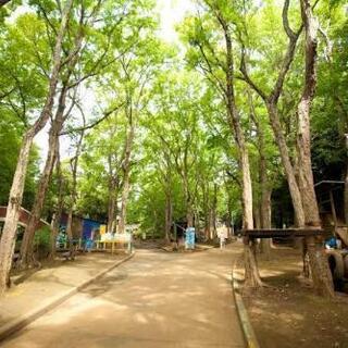 朝ランニング　世田谷公園 - 世田谷区