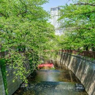 朝ランニング　世田谷公園 - 友達