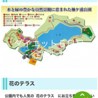 🏃‍♀️🏋️‍♀️🧘🏼‍♀️付き合ってください❗️❗️平日のダイエット仲間募集❗️❗️ - 袖ケ浦市