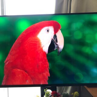 ティーズ50インチ4ｋテレビ テレビスタンド付き中古値下げしました。
