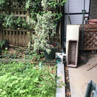 投稿不可ということで削除されました。　1日（7月21日1万円）だけの片ずけ仕事です。の画像