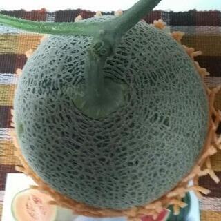 (説明文を読んで下さい)　大玉メロン約２キロ　赤肉　1玉