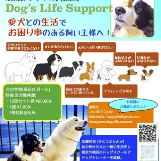 犬の幼稚園でお勉強しませんか？